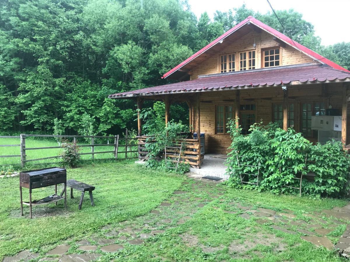 Casutele Doftanei Apartment Tesila Exterior photo